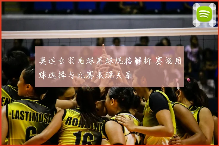 奥运会羽毛球用球规格解析 赛场用球选择与比赛表现关系